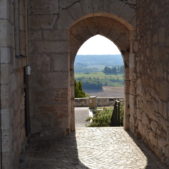 Castèlnòu de Montmiralh